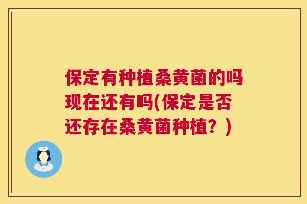 保定有种植桑黄菌的吗现在还有吗(保定是否还存在桑黄菌种植?) 保定有种植桑黄菌的吗现在还有吗(保定是否还存在桑黄菌种植?)
