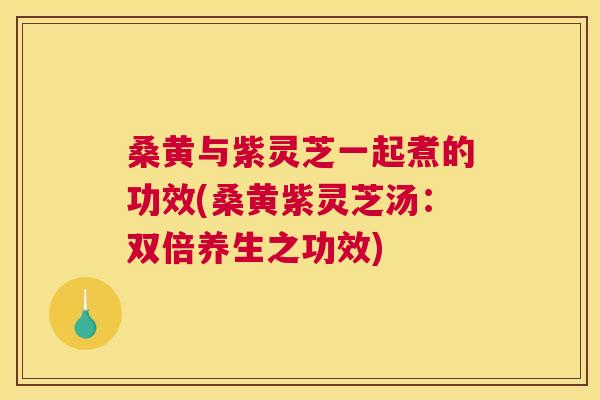桑黄与紫灵芝一起煮的功效(桑黄紫灵芝汤:双倍养生之功效) 桑黄与紫灵芝一起煮的功效(桑黄紫灵芝汤:双倍养生之功效)