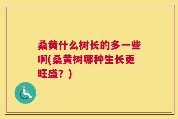 桑黄什么树长的多一些啊(桑黄树哪种生长更旺盛?) 桑黄什么树长的多一些啊(桑黄树哪种生长更旺盛?)