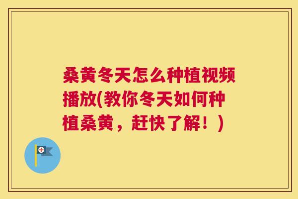 桑黄冬天怎么种植视频播放(教你冬天如何种植桑黄,赶快了解!) 桑黄冬天怎么种植视频播放(教你冬天如何种植桑黄,赶快了解!)