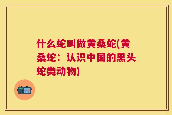 什么蛇叫做黄桑蛇(黄桑蛇:认识中国的黑头蛇类动物) 什么蛇叫做黄桑蛇(黄桑蛇:认识中国的黑头蛇类动物)