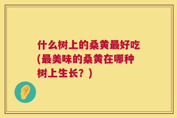什么树上的桑黄好吃(美味的桑黄在哪种树上生长?) 什么树上的桑黄好吃(美味的桑黄在哪种树上生长?)