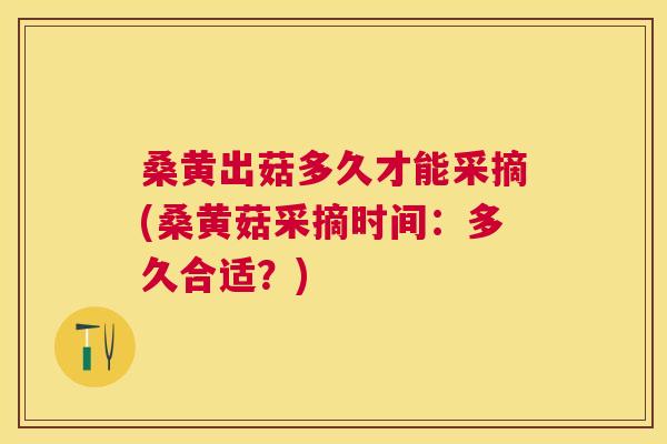 桑黄出菇多久才能采摘(桑黄菇采摘时间:多久合适?) 桑黄出菇多久才能采摘(桑黄菇采摘时间:多久合适?)