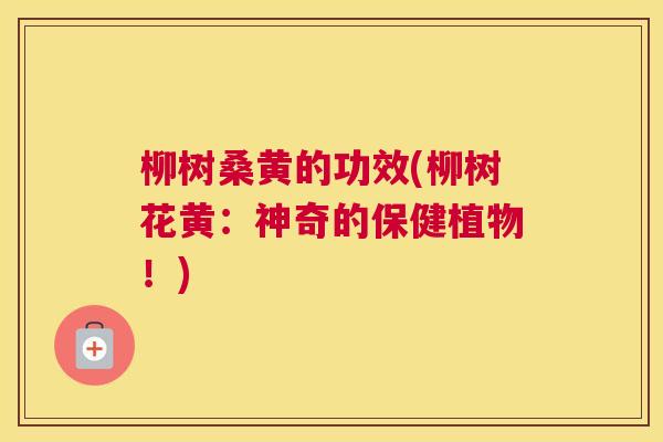 柳树桑黄的功效(柳树花黄:神奇的保健植物!) 柳树桑黄的功效(柳树花黄:神奇的保健植物!)