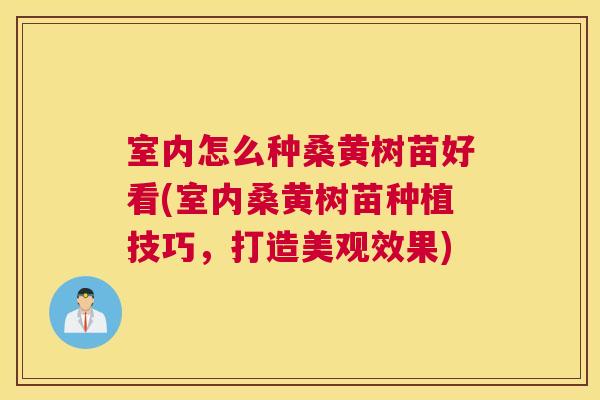 室内怎么种桑黄树苗好看(室内桑黄树苗种植技巧,打造美观效果) 室内怎么种桑黄树苗好看(室内桑黄树苗种植技巧,打造美观效果)