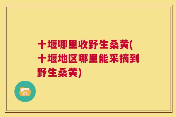 十堰哪里收野生桑黄(十堰地区哪里能采摘到野生桑黄) 十堰哪里收野生桑黄(十堰地区哪里能采摘到野生桑黄)