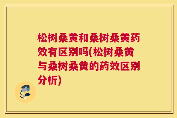 松树桑黄和桑树桑黄有区别吗(松树桑黄与桑树桑黄的区别分析) 松树桑黄和桑树桑黄有区别吗(松树桑黄与桑树桑黄的区别分析)