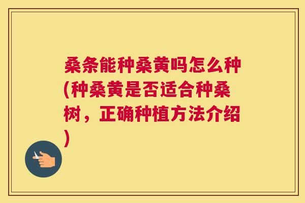 桑条能种桑黄吗怎么种(种桑黄是否适合种桑树,正确种植方法介绍) 桑条能种桑黄吗怎么种(种桑黄是否适合种桑树,正确种植方法介绍)