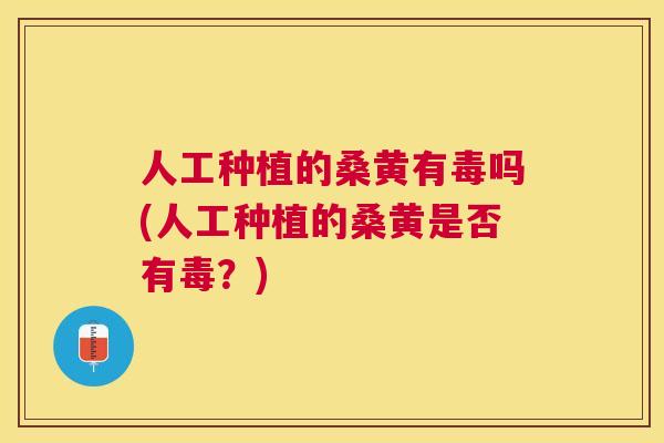 人工种植的桑黄有毒吗(人工种植的桑黄是否有毒?) 人工种植的桑黄有毒吗(人工种植的桑黄是否有毒?)