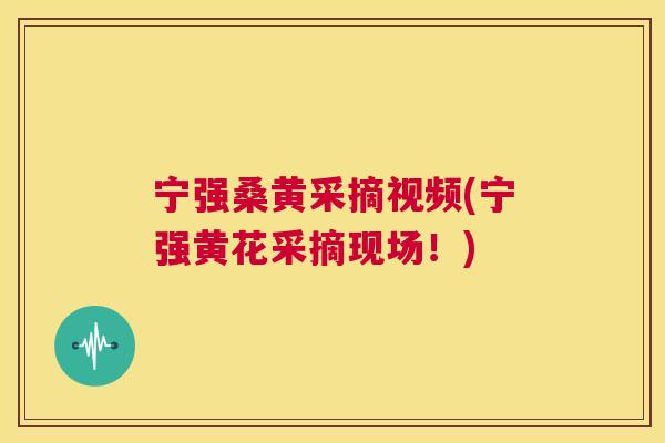 宁强桑黄采摘视频(宁强黄花采摘现场!) 宁强桑黄采摘视频(宁强黄花采摘现场!)