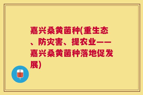 嘉兴桑黄菌种(重生态、防灾害、提农业——嘉兴桑黄菌种落地促发展) 嘉兴桑黄菌种(重生态、防灾害、提农业——嘉兴桑黄菌种落地促发展)