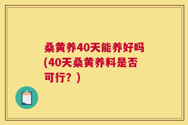 桑黄养40天能养好吗(40天桑黄养料是否可行？)