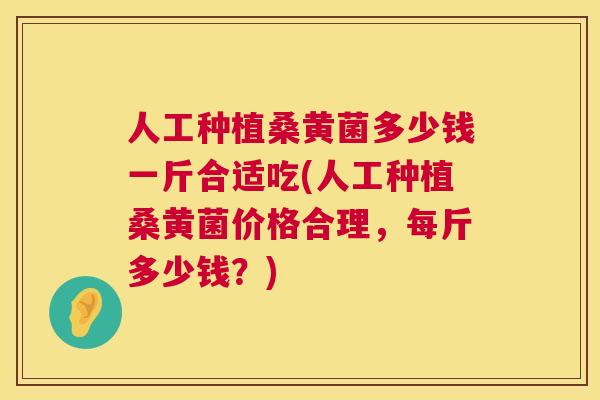 人工种植桑黄菌多少钱一斤合适吃(人工种植桑黄菌价格合理,每斤多少钱?) 人工种植桑黄菌多少钱一斤合适吃(人工种植桑黄菌价格合理,每斤多少钱?)