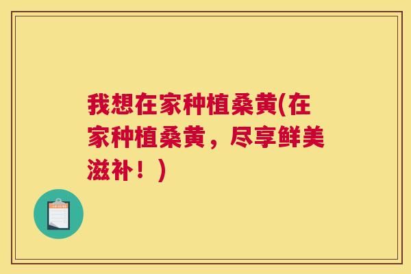 我想在家种植桑黄(在家种植桑黄,尽享鲜美滋补!) 我想在家种植桑黄(在家种植桑黄,尽享鲜美滋补!)