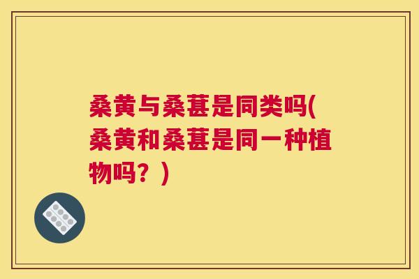 桑黄与桑葚是同类吗(桑黄和桑葚是同一种植物吗?) 桑黄与桑葚是同类吗(桑黄和桑葚是同一种植物吗?)