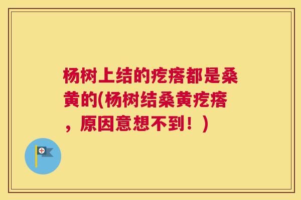 杨树上结的疙瘩都是桑黄的(杨树结桑黄疙瘩,原因意想不到!) 杨树上结的疙瘩都是桑黄的(杨树结桑黄疙瘩,原因意想不到!)
