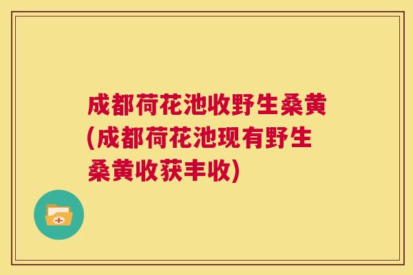成都荷花池收野生桑黄(成都荷花池现有野生桑黄收获丰收) 成都荷花池收野生桑黄(成都荷花池现有野生桑黄收获丰收)