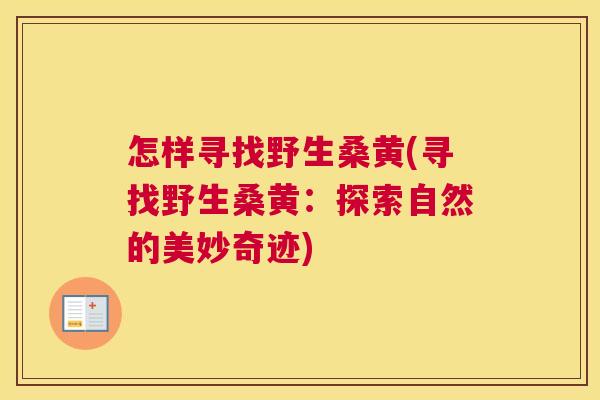 怎样寻找野生桑黄(寻找野生桑黄:探索自然的美妙奇迹) 怎样寻找野生桑黄(寻找野生桑黄:探索自然的美妙奇迹)
