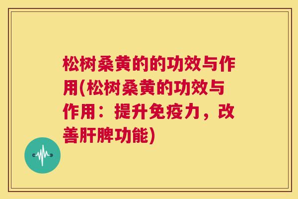松树桑黄的的功效与作用(松树桑黄的功效与作用：提升力，改善脾功能)