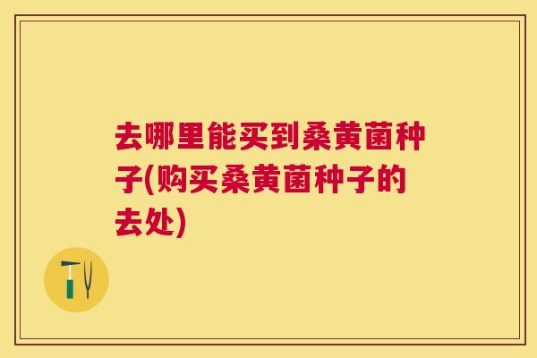 去哪里能买到桑黄菌种子(购买桑黄菌种子的去处) 去哪里能买到桑黄菌种子(购买桑黄菌种子的去处)