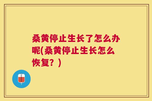 桑黄停止生长了怎么办呢(桑黄停止生长怎么恢复?) 桑黄停止生长了怎么办呢(桑黄停止生长怎么恢复?)