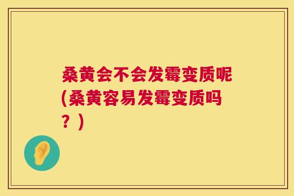 桑黄会不会发霉变质呢(桑黄容易发霉变质吗?) 桑黄会不会发霉变质呢(桑黄容易发霉变质吗?)