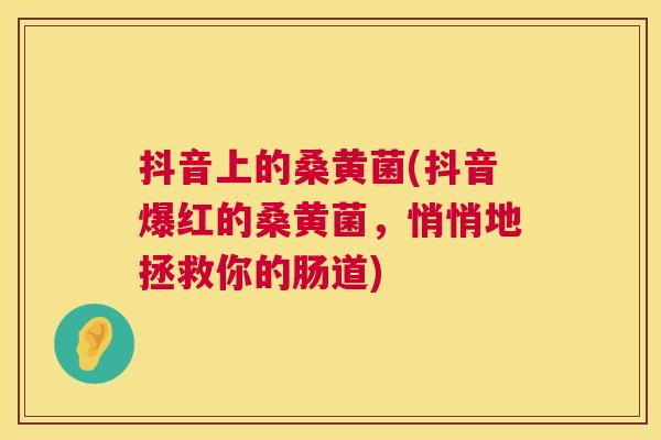 抖音上的桑黄菌(抖音爆红的桑黄菌,悄悄地拯救你的肠道) 抖音上的桑黄菌(抖音爆红的桑黄菌,悄悄地拯救你的肠道)