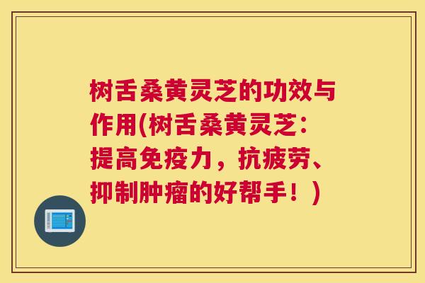 树舌桑黄灵芝的功效与作用(树舌桑黄灵芝：提高力，、抑制的好帮手！)