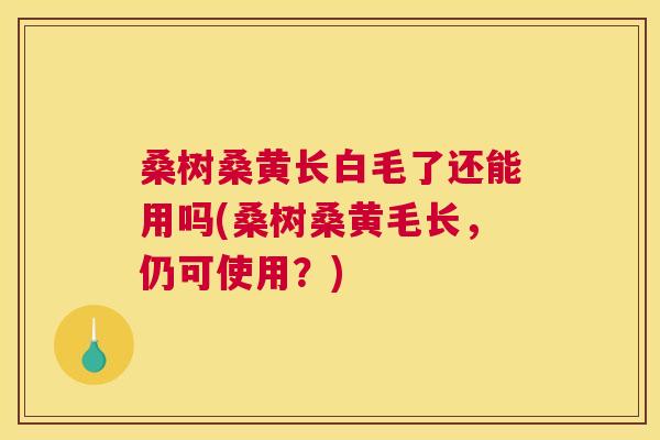 桑树桑黄长白毛了还能用吗(桑树桑黄毛长,仍可使用?) 桑树桑黄长白毛了还能用吗(桑树桑黄毛长,仍可使用?)