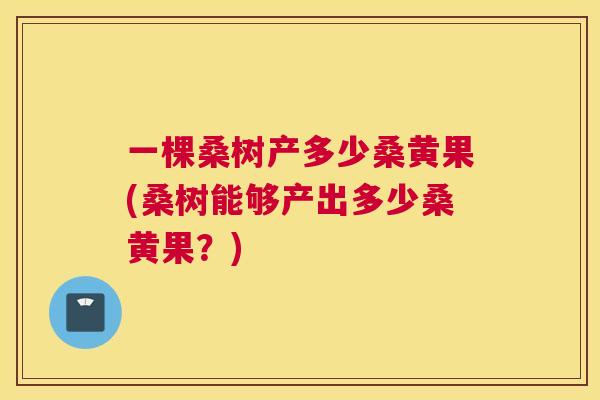 一棵桑树产多少桑黄果(桑树能够产出多少桑黄果?) 一棵桑树产多少桑黄果(桑树能够产出多少桑黄果?)