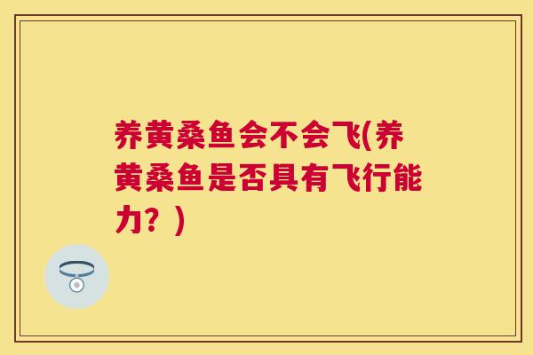养黄桑鱼会不会飞(养黄桑鱼是否具有飞行能力?) 养黄桑鱼会不会飞(养黄桑鱼是否具有飞行能力?)