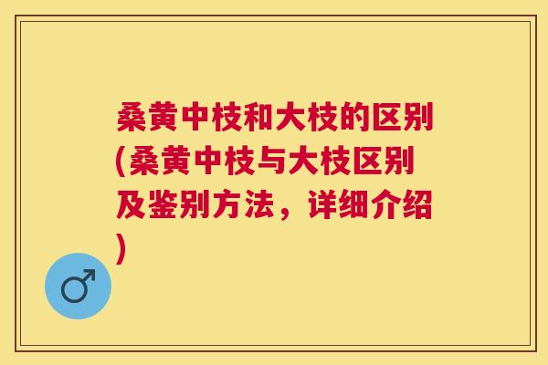 桑黄中枝和大枝的区别(桑黄中枝与大枝区别及鉴别方法，详细介绍)