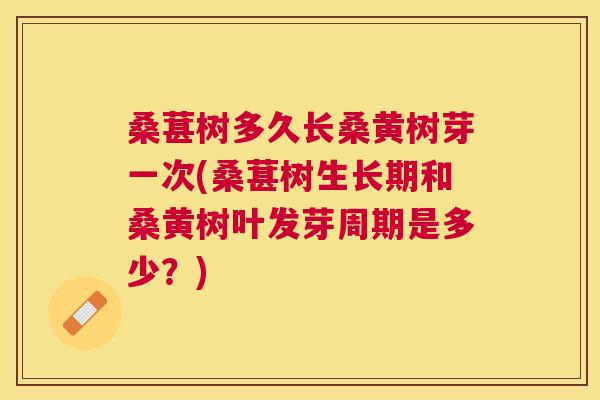 桑葚树多久长桑黄树芽一次(桑葚树生长期和桑黄树叶发芽周期是多少?) 桑葚树多久长桑黄树芽一次(桑葚树生长期和桑黄树叶发芽周期是多少?)