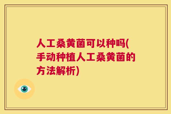 人工桑黄菌可以种吗(手动种植人工桑黄菌的方法解析) 人工桑黄菌可以种吗(手动种植人工桑黄菌的方法解析)