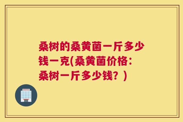 桑树的桑黄菌一斤多少钱一克(桑黄菌价格：桑树一斤多少钱？)