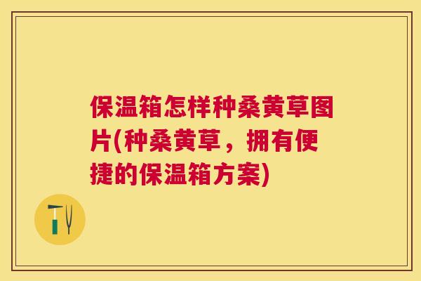 保温箱怎样种桑黄草图片(种桑黄草,拥有便捷的保温箱方案) 保温箱怎样种桑黄草图片(种桑黄草,拥有便捷的保温箱方案)