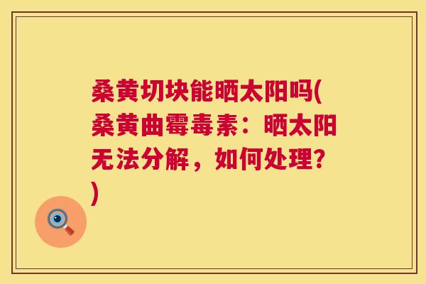 桑黄切块能晒太阳吗(桑黄曲霉毒素:晒太阳无法分解,如何处理?) 桑黄切块能晒太阳吗(桑黄曲霉毒素:晒太阳无法分解,如何处理?)