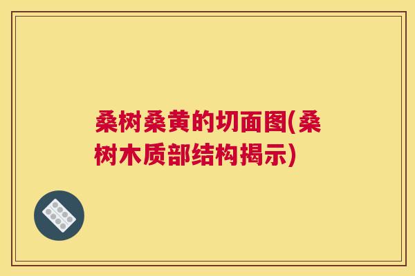 桑树桑黄的切面图(桑树木质部结构揭示)