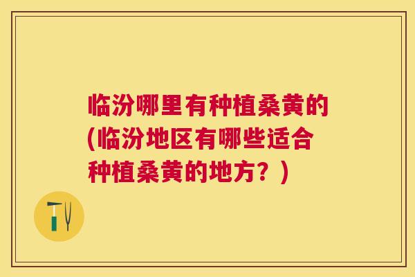 临汾哪里有种植桑黄的(临汾地区有哪些适合种植桑黄的地方?) 临汾哪里有种植桑黄的(临汾地区有哪些适合种植桑黄的地方?)
