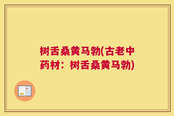 树舌桑黄马勃(古老材:树舌桑黄马勃) 树舌桑黄马勃(古老材:树舌桑黄马勃)