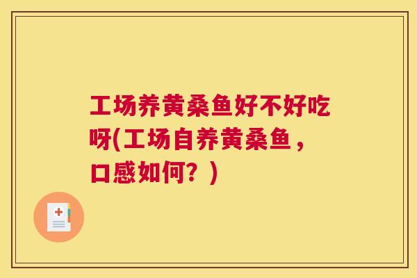 工场养黄桑鱼好不好吃呀(工场自养黄桑鱼,口感如何?) 工场养黄桑鱼好不好吃呀(工场自养黄桑鱼,口感如何?)