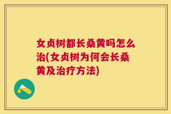 女贞树都长桑黄吗怎么(女贞树为何会长桑黄及方法) 女贞树都长桑黄吗怎么(女贞树为何会长桑黄及方法)