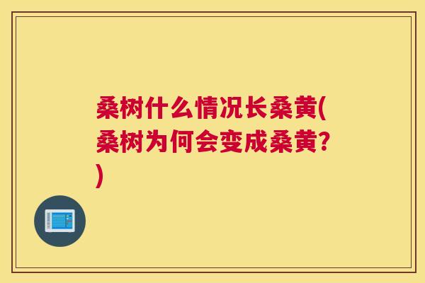 桑树什么情况长桑黄(桑树为何会变成桑黄?) 桑树什么情况长桑黄(桑树为何会变成桑黄?)