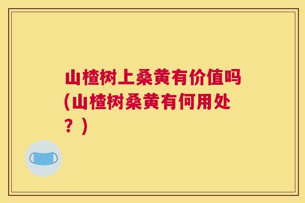 山楂树上桑黄有价值吗(山楂树桑黄有何用处?) 山楂树上桑黄有价值吗(山楂树桑黄有何用处?)