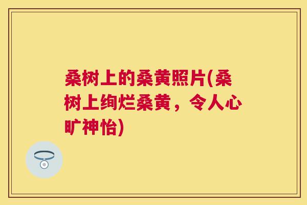 桑树上的桑黄照片(桑树上绚烂桑黄,令人心旷神怡) 桑树上的桑黄照片(桑树上绚烂桑黄,令人心旷神怡)
