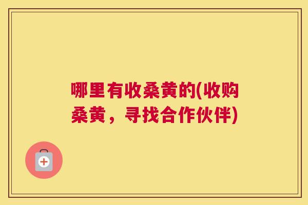 哪里有收桑黄的(收购桑黄,寻找合作伙伴) 哪里有收桑黄的(收购桑黄,寻找合作伙伴)