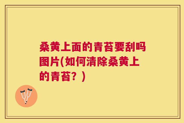 桑黄上面的青苔要刮吗图片(如何清除桑黄上的青苔?) 桑黄上面的青苔要刮吗图片(如何清除桑黄上的青苔?)