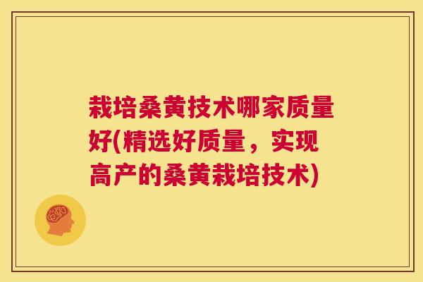 栽培桑黄技术哪家质量好(精选好质量，实现高产的桑黄栽培技术)