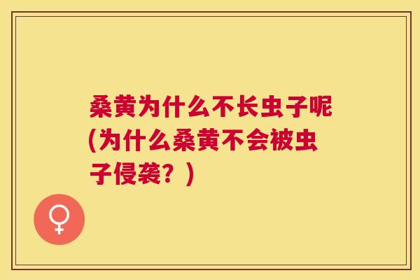 桑黄为什么不长虫子呢(为什么桑黄不会被虫子侵袭？)