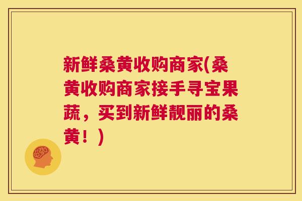新鲜桑黄收购商家(桑黄收购商家接手寻宝果蔬,买到新鲜靓丽的桑黄!) 新鲜桑黄收购商家(桑黄收购商家接手寻宝果蔬,买到新鲜靓丽的桑黄!)